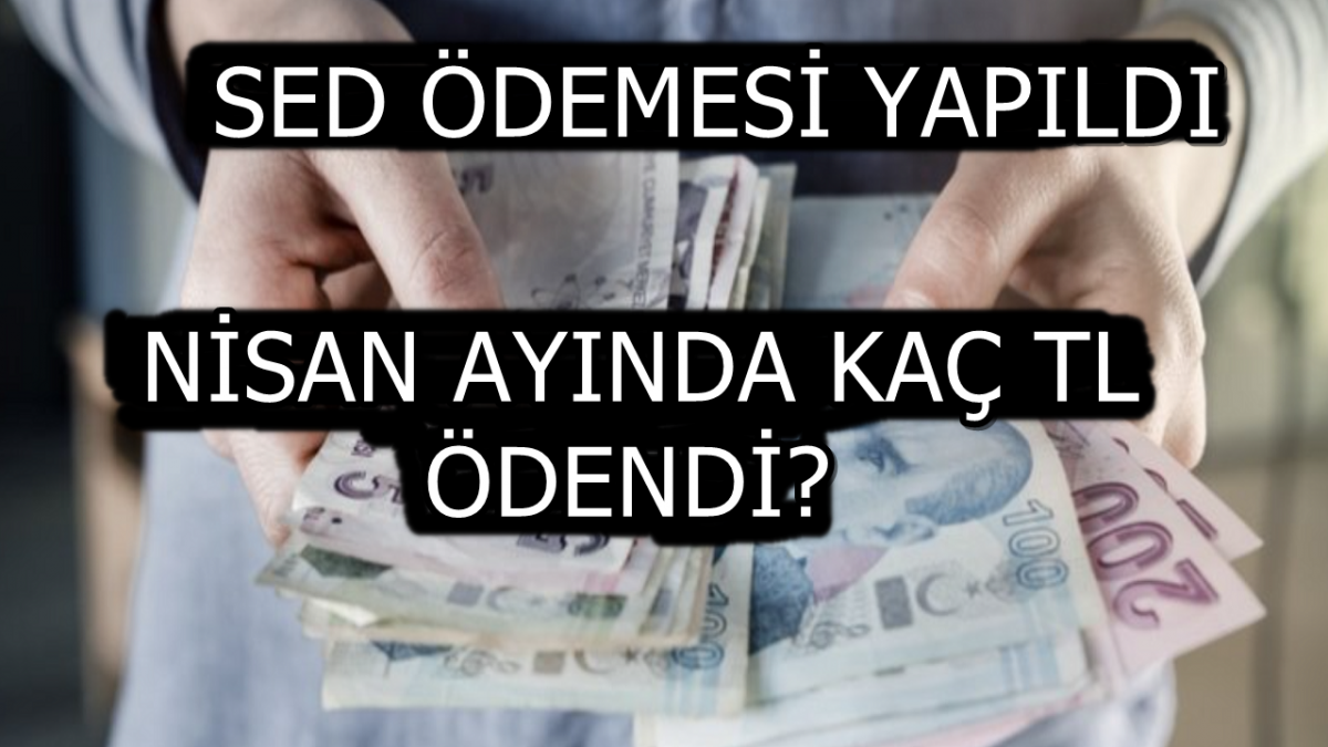 Nisan Ayı Destek Ödemeleri Hesapta! Bakanlıktan Güncel SED Ödeme Duyurusu Geldi! SED Desteği Kaç TL Oldu?