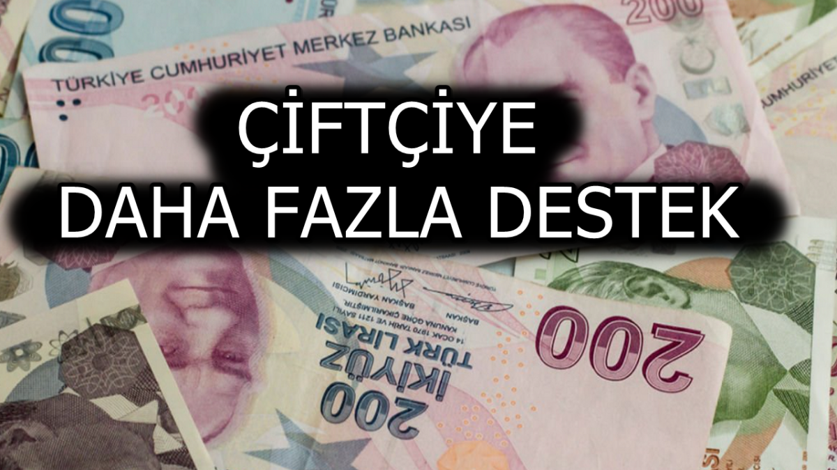 Çiftçiye Verilen Destek Miktarı Arttı: Dekar Başına 135 TL Ödeme Yapılacak!