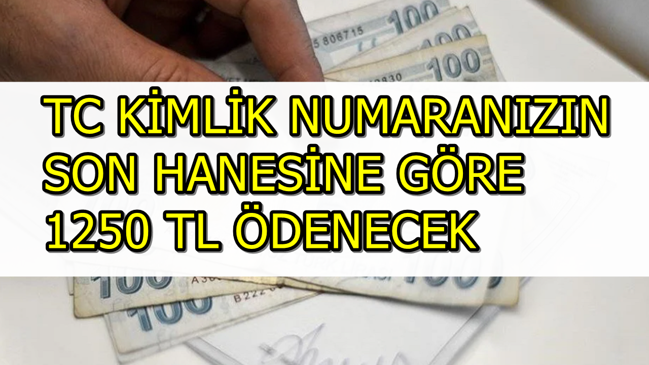 Mayıs Ayında 1250 TL Yardım Parası İçin Ödeme Tarihi Belli Oldu! TC Kimliğinizin Son Rakamına Göre Para Hesabınızda!