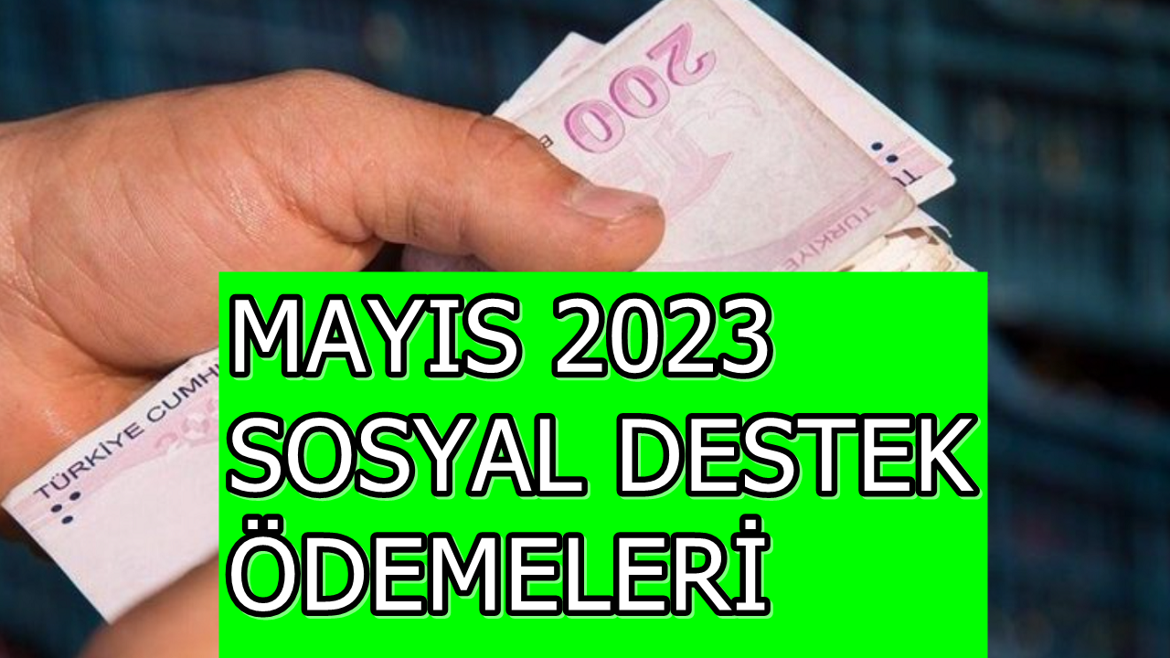 Aile Destek Programı Mayıs 2023 Ödemeleri Hesaba Yatırıldı mı? 1250 TL Yardım Parası İçin e-Devlet Başvuru Ekranı!