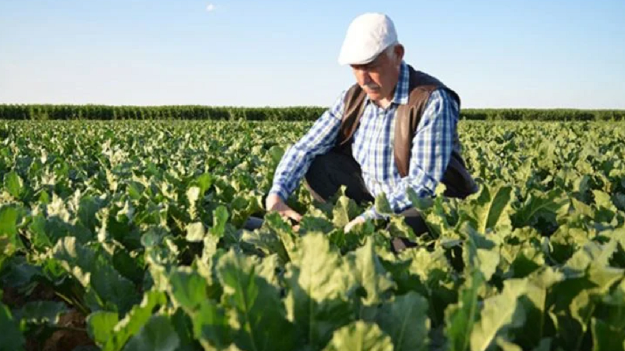 Çiftçilerin Beklediği Oluyor! Tarımsal Destek Ödemeleri Mayıs Ayında Ödendi mi?
