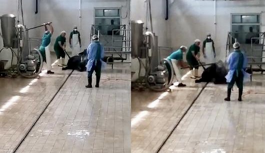 SON DAKİKA.. İki Personel Gözaltında!