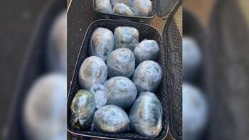 İki Polis Memuru Uyuşturucu ile Yakalandı 