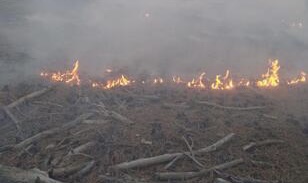 Feke’de Orman Yangını 