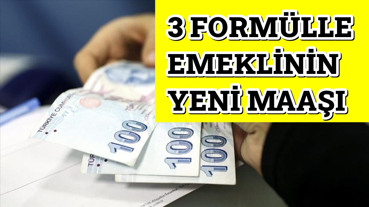Emekli Maaşına 3 Formül Önerisi! Zam Yapılmayacaktı Ama Karardan Vazgeçildi!