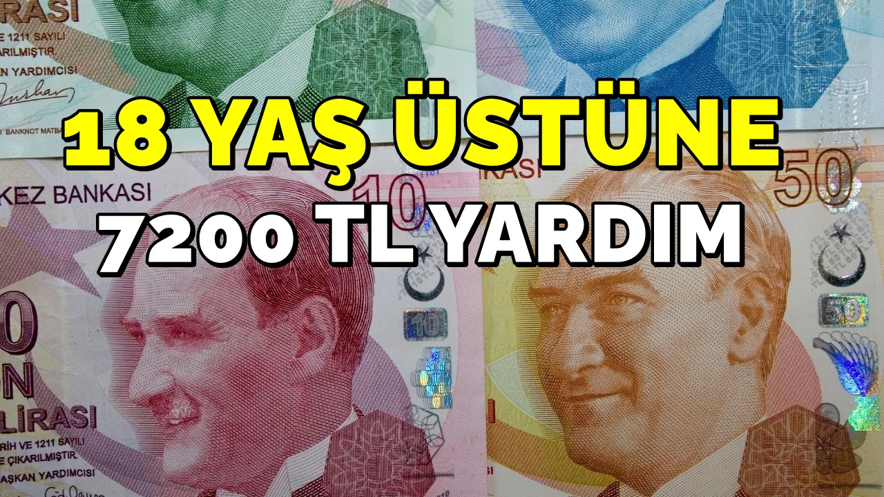 18 Yaş Üstüne Bakanlıktan 7200 TL Yardım! e-Devlet'ten Başvurusunu Yapan Parasını Alıyor!
