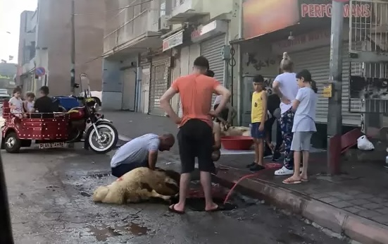 Kentten Kurban Bayramı Manzaraları