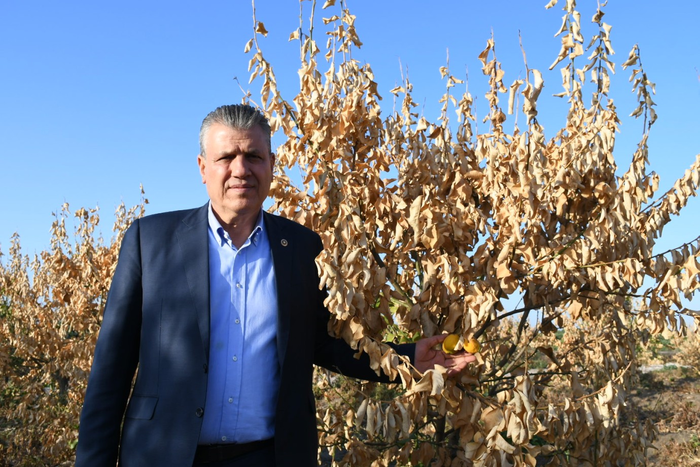 “İhracat Yasağı Çiftçinin Ölüm Fermanı”