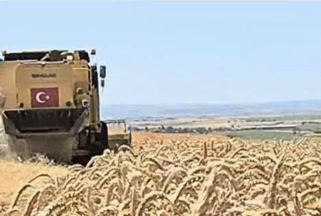Yumurtalık‘ta ‘Büyük Vurgun’ İddiası 