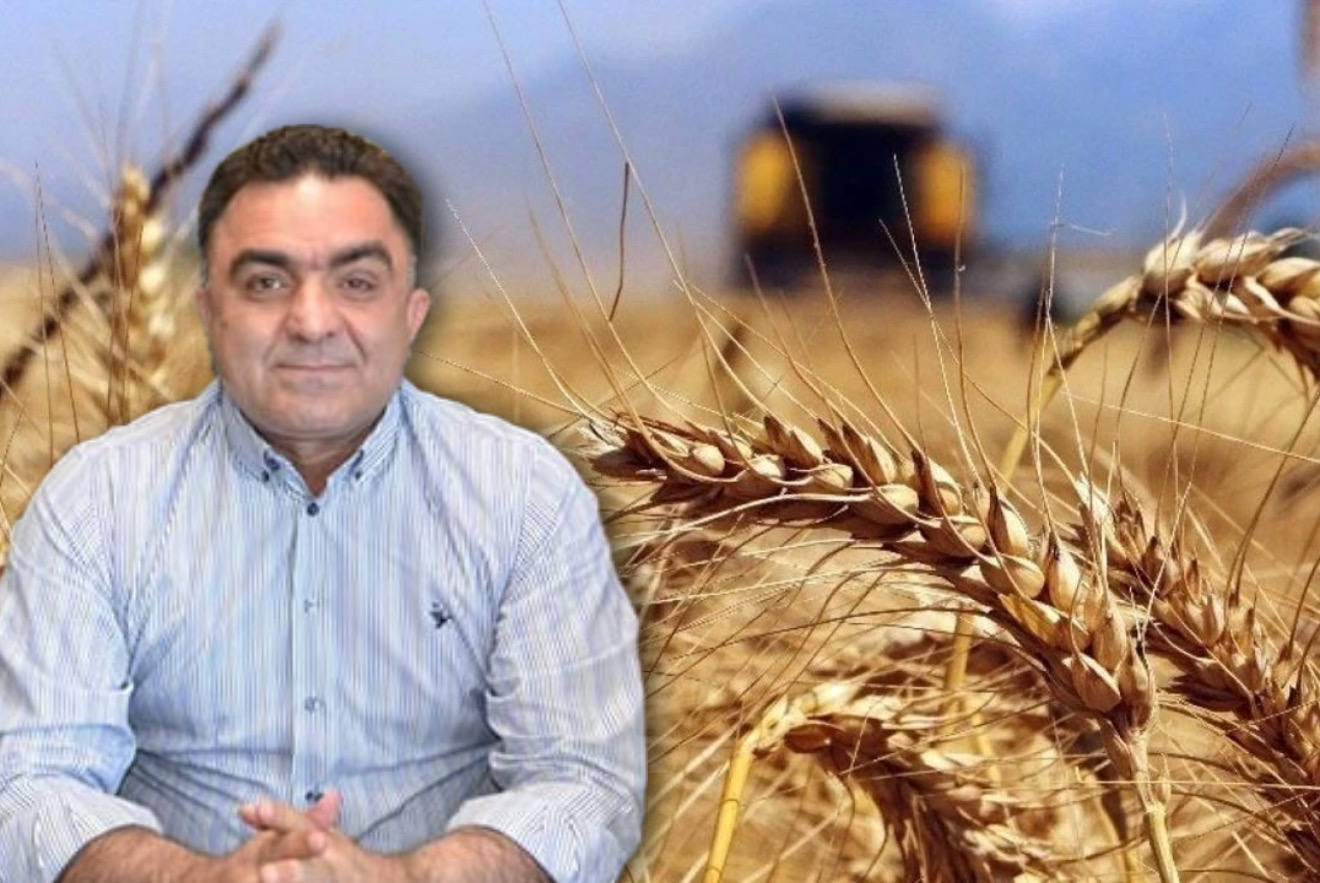 Buğdayda Fiyat Beklentisini Açıkladı 