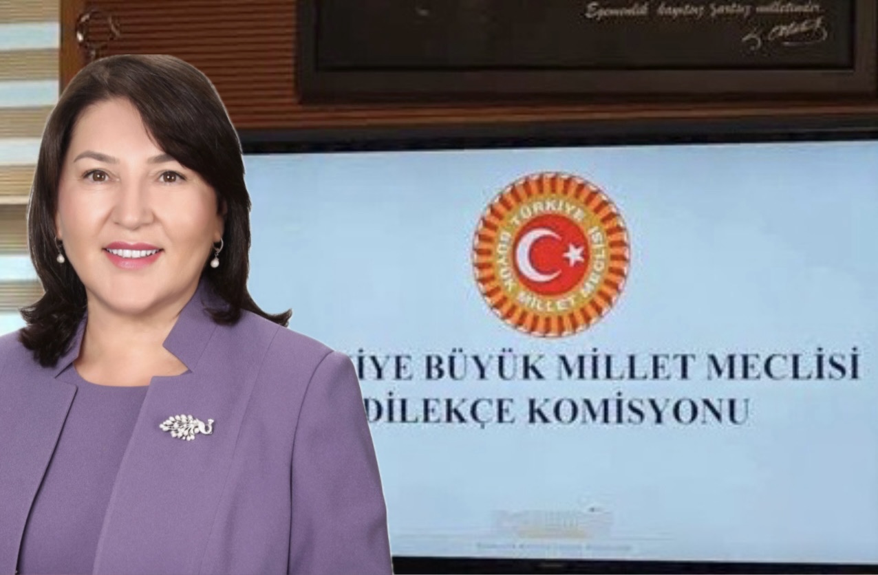Dilekçe Komisyonu’na Gelen Talepler…