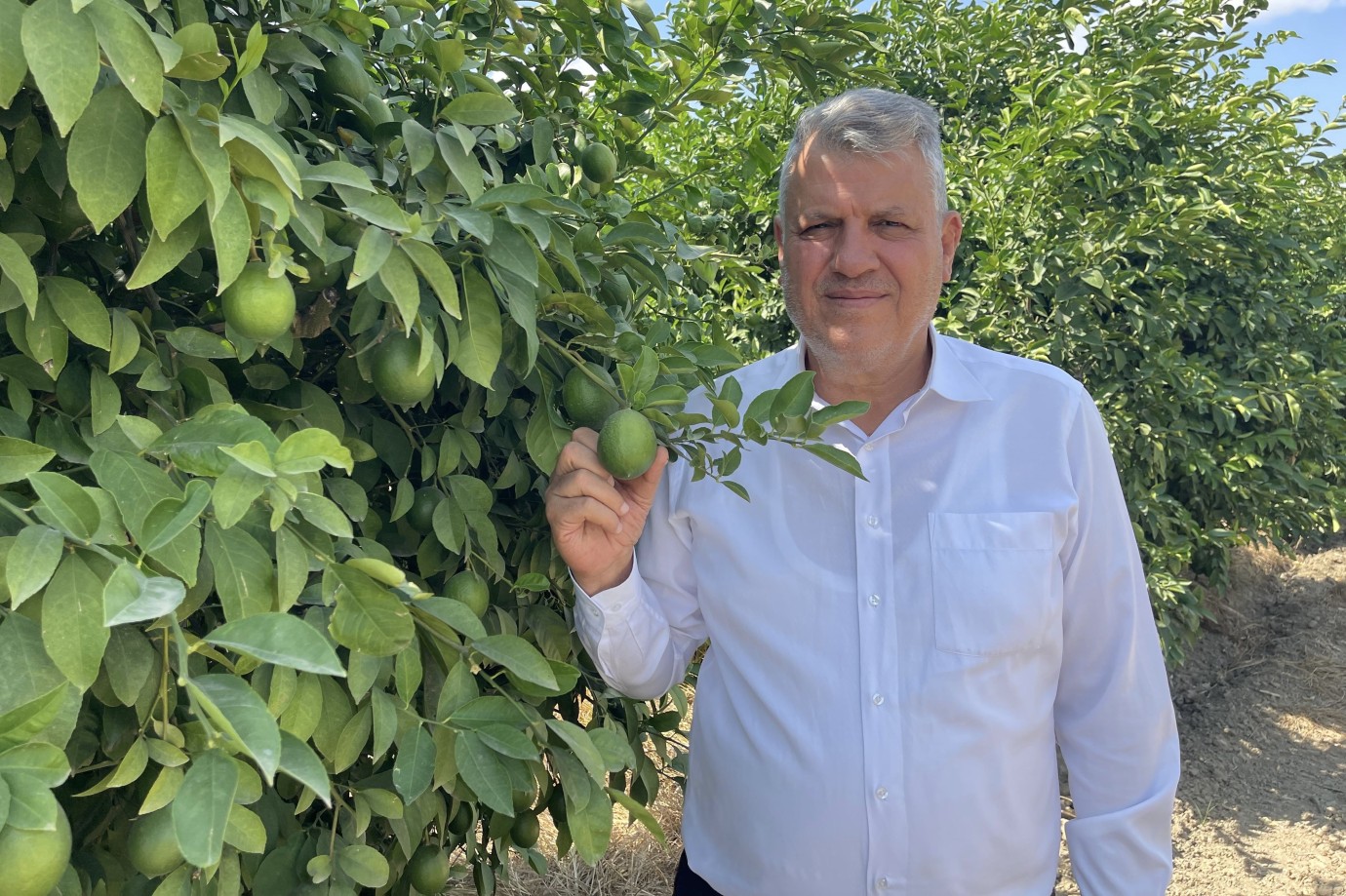 Barut: Limon Dalında, Çiftçi Tükendi