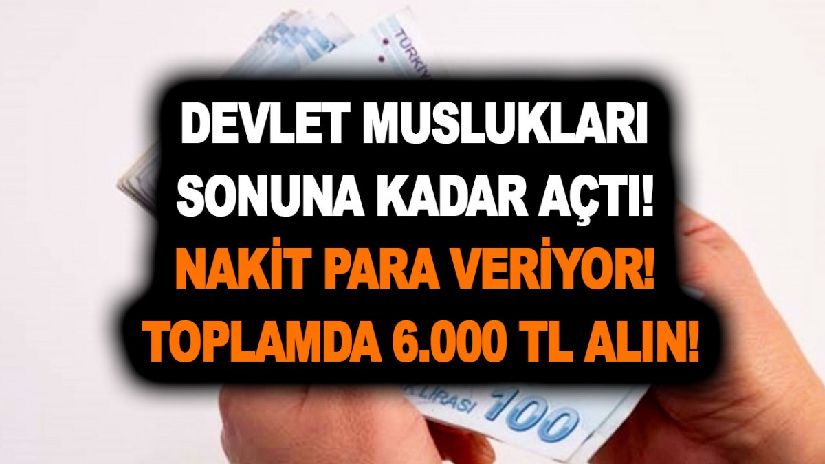 Devlet muslukları sonuna kadar açtı! Nakit para veriyor! Toplamda 6.000 TL alabilirsiniz! 