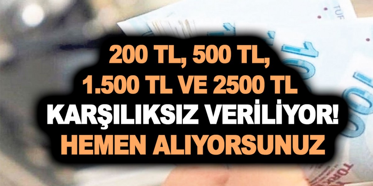 200 TL, 500 TL, 1.500 TL ve 2500 TL olarak karşılıksız veriliyor! Parayı Aile Bakanlığı PTT'ye yatırıyor! Hemen alıyorsunuz